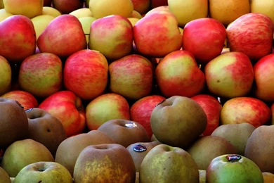 Photography   Page 373