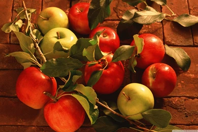 Red Apples And Green Apples HD Desktop Wallpapers : High Definition ...