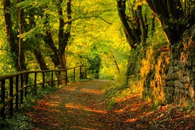 Download Wallpapers, Download 2560x1024 Autumn Water Contributing ...