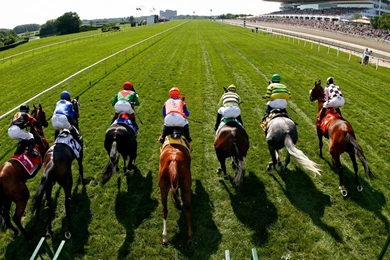 HORSE RACING Race Equestrian Sport Jockey Horses Wallpapers ...