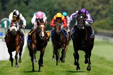 Horse Games Racehorse Games Wallpapers Horse Racing Wallpapers ...
