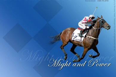 Racing And Sports   2006 Tattersall's Cox Plate, WS Cox Plate 2006 ...