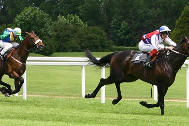 Horse Race: January 2013