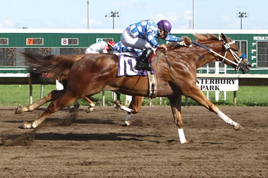 HORSE RACING Race Equestrian Sport Jockey Horses Wallpapers ...