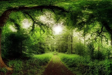 Beauty Nature Wallpapers Hd,desktop Wallpapers