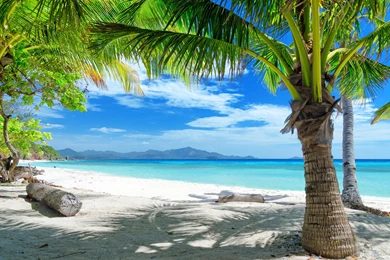 TROPICAL BEACH BAR   Online Wallpapers HD