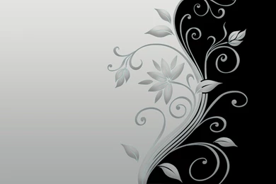 Blossom Black & White Flower Wallpapers