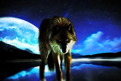 Wolf With Moon (Wallpaper) By Hardii On DeviantArt