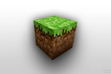 Minecraft Block