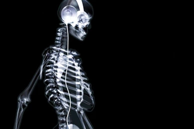 Hd Wallpapers City: Skeleton On X Ray