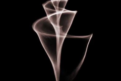 X ray Shells, iPad Backgrounds, Best iPad Wallpaper, Wallpapers