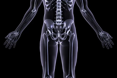 Xray Skeleton iPhone 5 Wallpapers (640x1136)