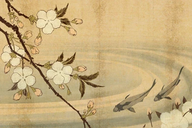 Total War   Shogun II Wallpaper,digital Art HD Wallpaper,1920x1200 ...