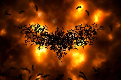 Batman Wallpapers 65f   HD Wallpapers