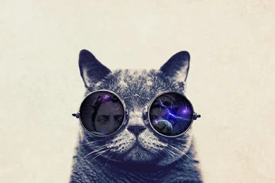 Doctor Kat Wallpapers By Joshua159258 On DeviantArt