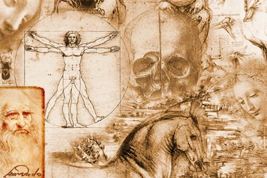 Leonardo Da Vinci, Vitruvian Man, Artwork Wallpaper,leonardo Da ...