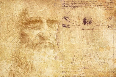 Da Vinci Anatomy Wallpapers