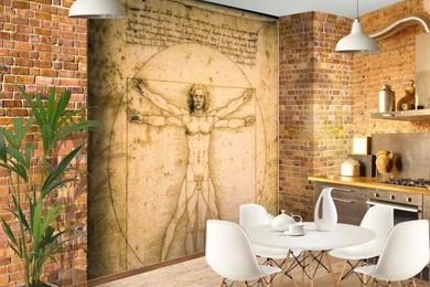 The Vitruvian Man Custom Wallpapers Mural Print By Jw & Shutterstock