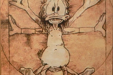 Disney Company Ducks Vitruvian Man Donald Duck Hd Wallpapers ...