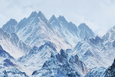 Free Sleeping Dogs & Free Nexuiz Overclockers Uk Forums. Dog ...