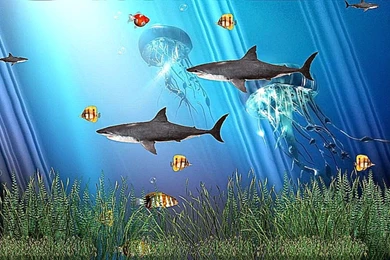 Windows 7 Animated Screensavers Wallpapers