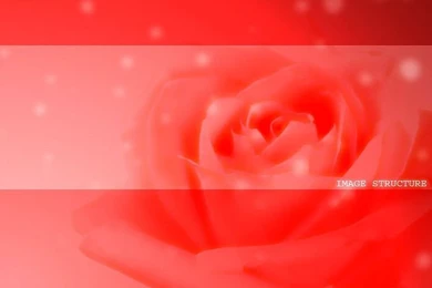 Color Abstract   Abstract Red Wallpapers (Vol.1)   Wallcoo.net