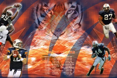 Top Auburn University Football Wallpapers Wallpapers