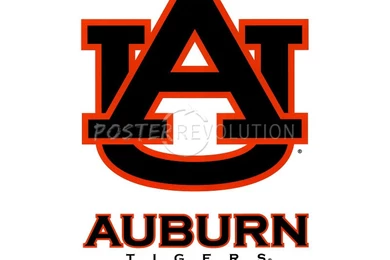 Jasper Bertolini's Blog: Auburn University Admissions