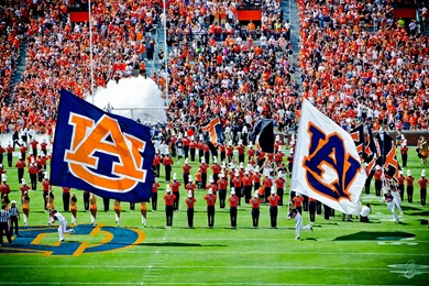 Auburn Tigers Football