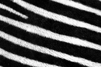 Pattern And Repetition Photography