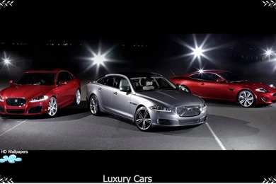 Luxury Cars