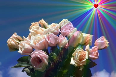 Philippine Wallpapers: Most Popular Philippine Wallpapers   Free ...