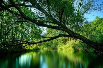 Wallpapers Megan Fox Nature Playboy Use This Set As Homepage ...