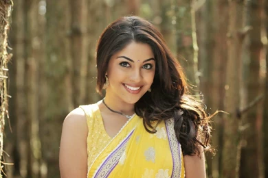 Richa Gangopadhyay Image Gallery   Cine Punch