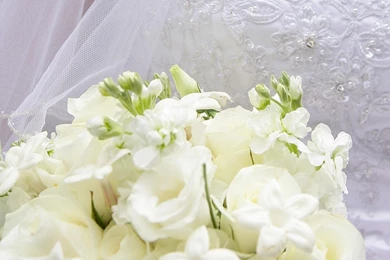 Background Images For Wedding   Widescreen HD Wallpapers