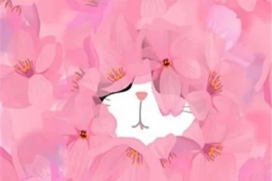 Cute Wallpapers For Phone Tumblr Images