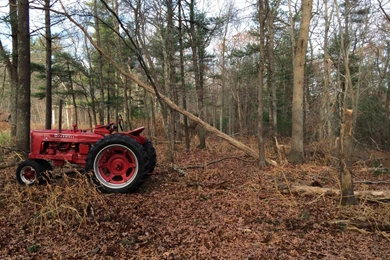 Post A Pic Of Your Woodhauler