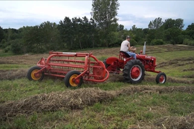 Hay Baling And Raking With Farmall Tractors   YouTube