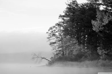 Mobile Hd Wallpapers