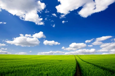 Dual Screen Nature Wallpapers Desktop For Desktop Uncalke.com