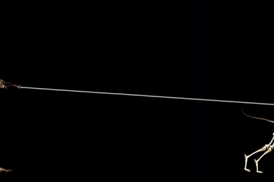 Dual Screen Wallpapers High Definition L2A » WALLPAPERUN.COM