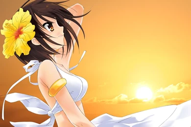 407 The Melancholy Of Haruhi Suzumiya HD Wallpapers