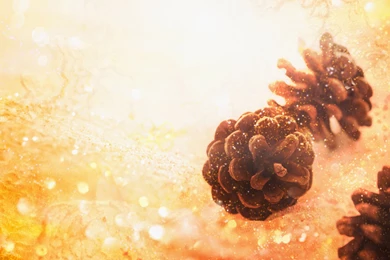 Wallpaper, Autumn, Winter, Seasons, Nature, Backgrounds (