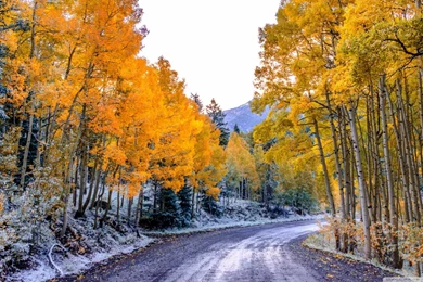 Autumn Winter Wallpapers