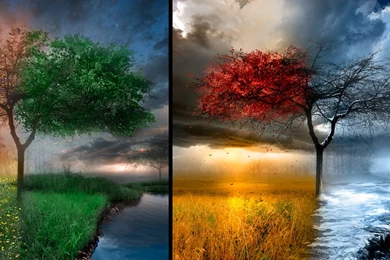 Winter Spring Summer And Autumn Hd Wallpapers 3 Hd Wallpapers