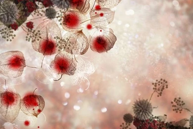 Autumn CG Backgrounds   Autumn Photo Composite Wallpaper11 ...