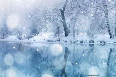 Fall Winter Pictures   HD Wallpapers And Pictures