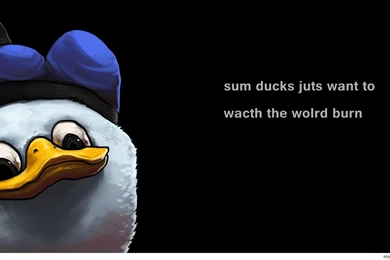 Funny Cartoon Wallpapers And Quote