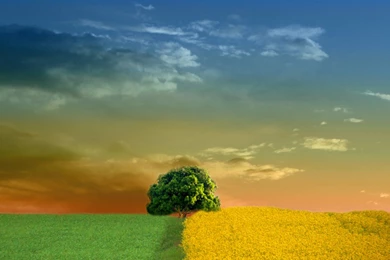 Connected Wallpapers Super Connected Scenery Desktop Wallpapers ...