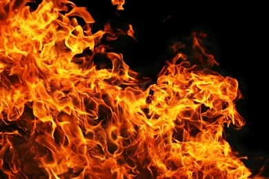 Fire Burning On Black Backgrounds